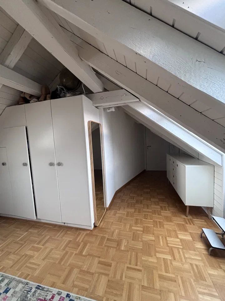 TEMPORÄR: Moderne, voll ausgestattete 3.5-Zimmer-Wohnung mit grosser Terrasse in Zürich Wiedikon (befristet)