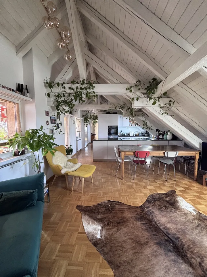 TEMPORÄR: Moderne, voll ausgestattete 3.5-Zimmer-Wohnung mit grosser Terrasse in Zürich Wiedikon (befristet)
