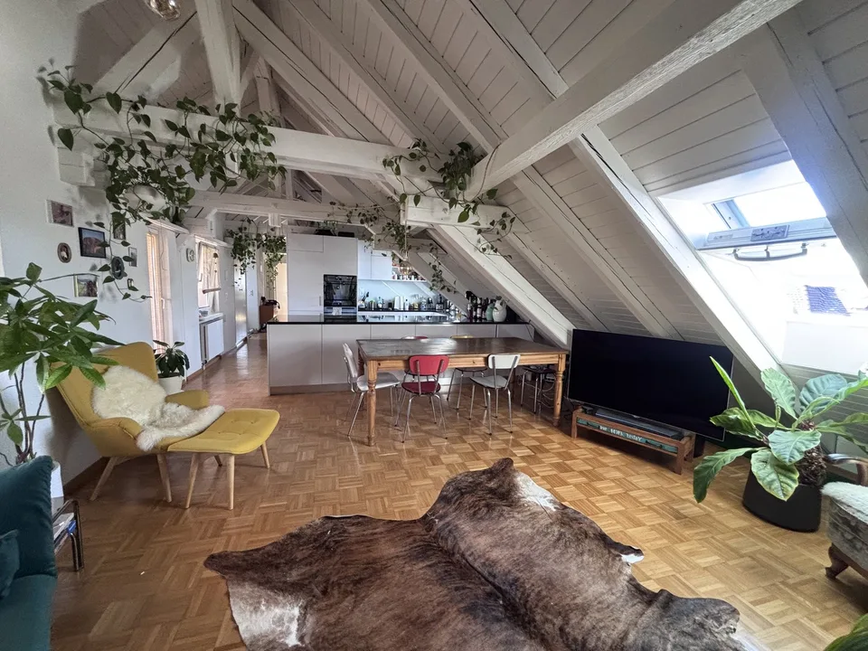 TEMPORÄR: Moderne, voll ausgestattete 3.5-Zimmer-Wohnung mit grosser Terrasse in Zürich Wiedikon (befristet)