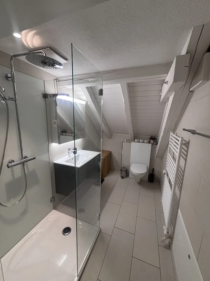 TEMPORÄR: Moderne, voll ausgestattete 3.5-Zimmer-Wohnung mit grosser Terrasse in Zürich Wiedikon (befristet)