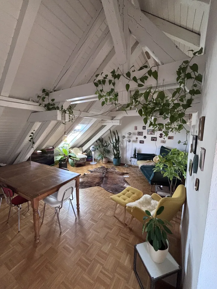 TEMPORÄR: Moderne, voll ausgestattete 3.5-Zimmer-Wohnung mit grosser Terrasse in Zürich Wiedikon (befristet)