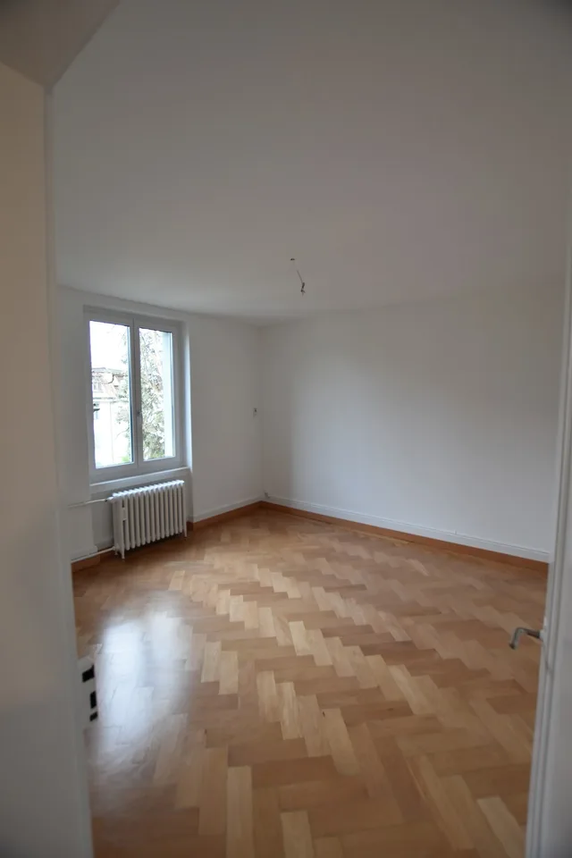 renovierte Altbauwohnung an ruhiger Lage