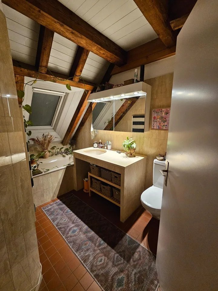 Room in a Maisonette Flat - 3-Person Flatshare, Zurich District 5