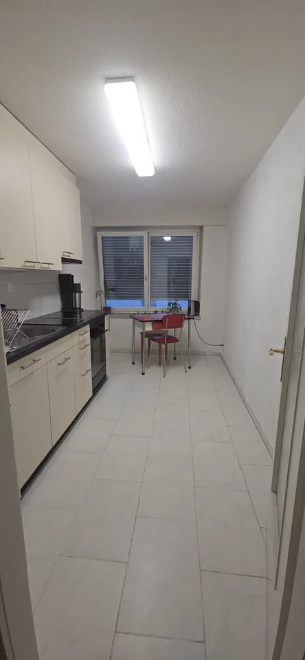 Wunderschön Wohnung in Wiedikon