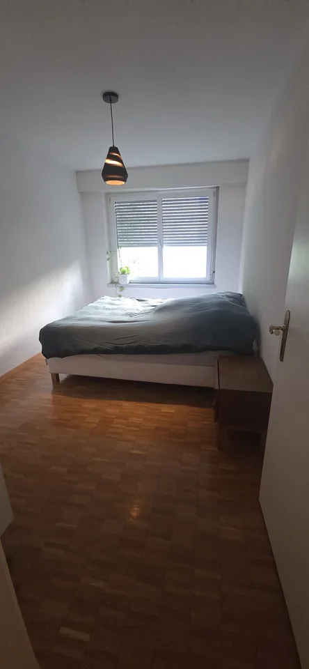 Wunderschön Wohnung in Wiedikon