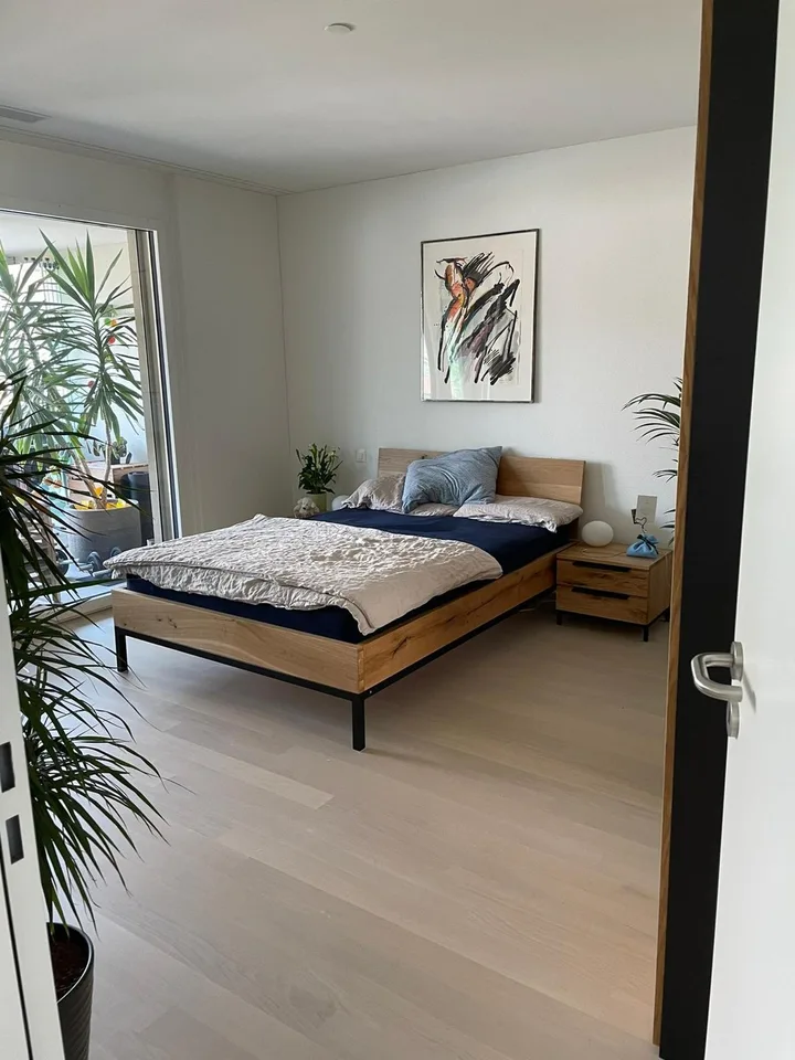 2.5 Zimmer Wohnung im Zentrum Wädenswil
