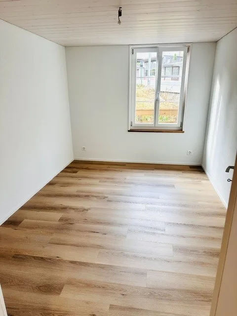 Neu renovierte 3 Zimmer Wohnung zu vermieten