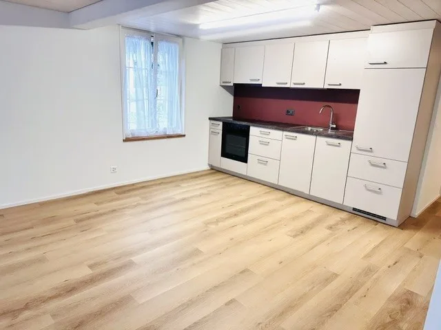 Neu renovierte 3 Zimmer Wohnung zu vermieten