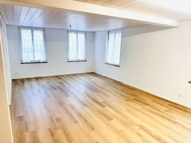 Neu renovierte 3 Zimmer Wohnung zu vermieten