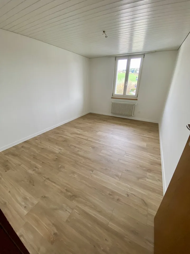 6½ Zi-Einfamilienhaus mit grosszügigem Garten in Neudorf