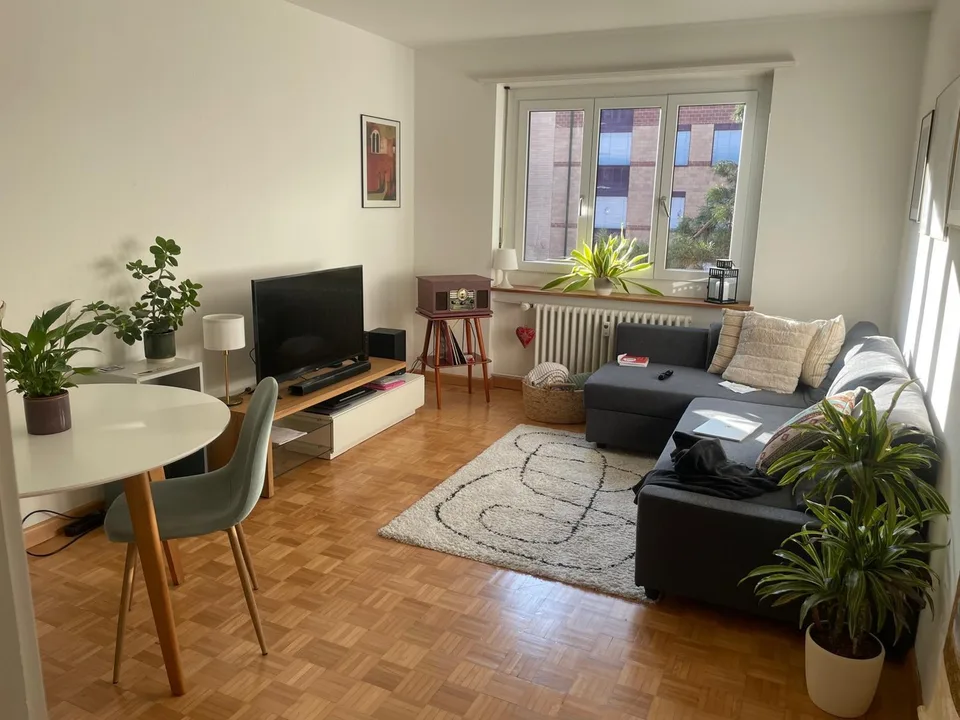 Furnished 2-Bedroom Apartment for Sublet in Basel (Rosental) – Available from 1 November 202