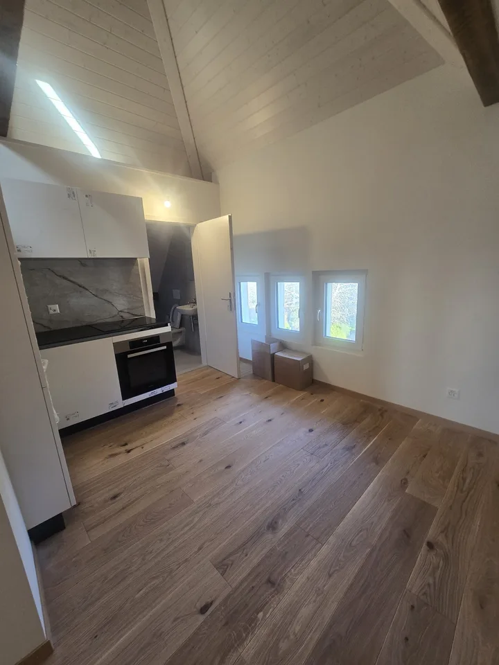 Loft/studio rénové avec beaucoup de cachet