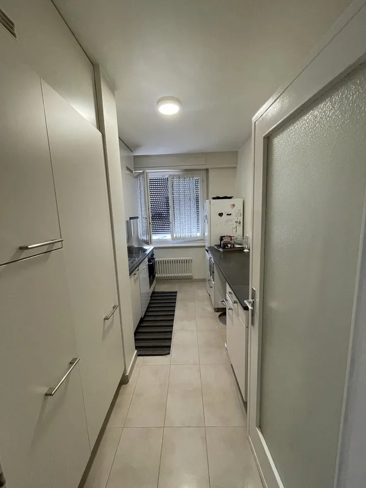 A saisir ! Magnifique appartement à Renens !