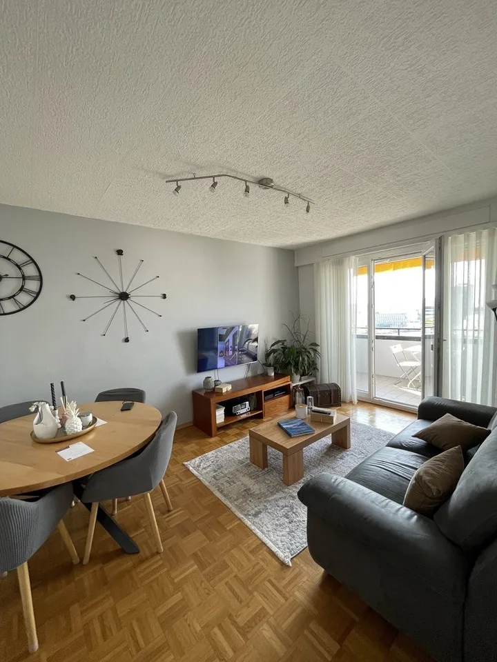 A saisir ! Magnifique appartement à Renens !