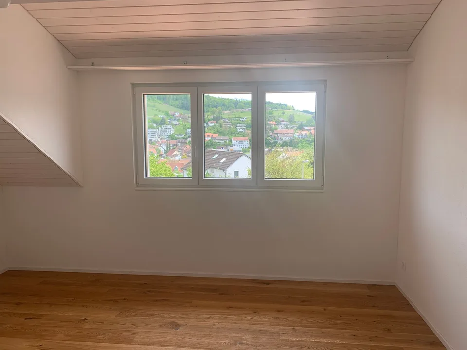2.5-Zimmer-Maisonette, 54 m², mit knapp 30 m² Dachterrasse und Weitblick
