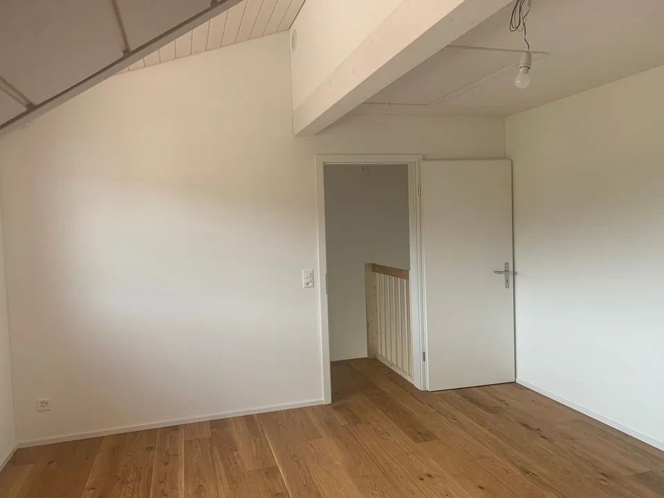 2.5-Zimmer-Maisonette, 54 m², mit knapp 30 m² Dachterrasse und Weitblick