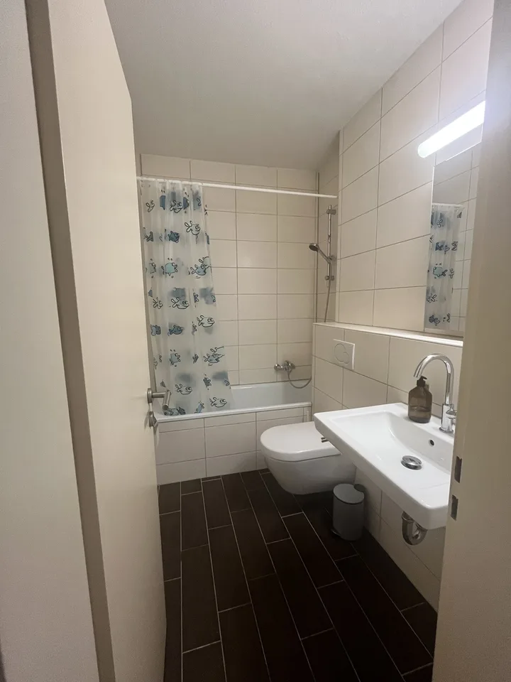 2.5 rooms - furnished dwelling