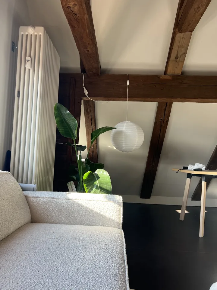 Modernisierte, heimelige Altbauwohnung | Möbliert | Zur Untermiete