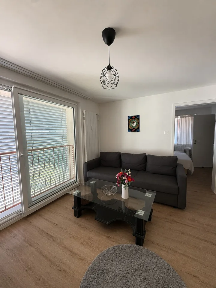 Helle 2-Zimmer-Wohnung in Winterthur zu vermieten