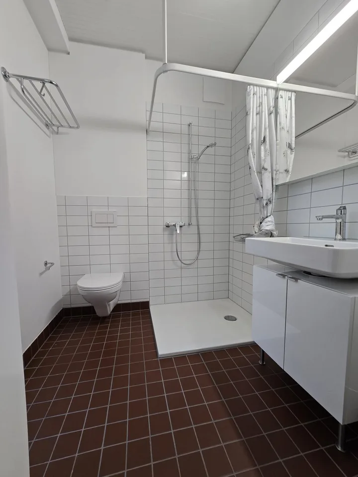 Ampio appartamento di 4,5 locali con balcone e vista a Dietikon