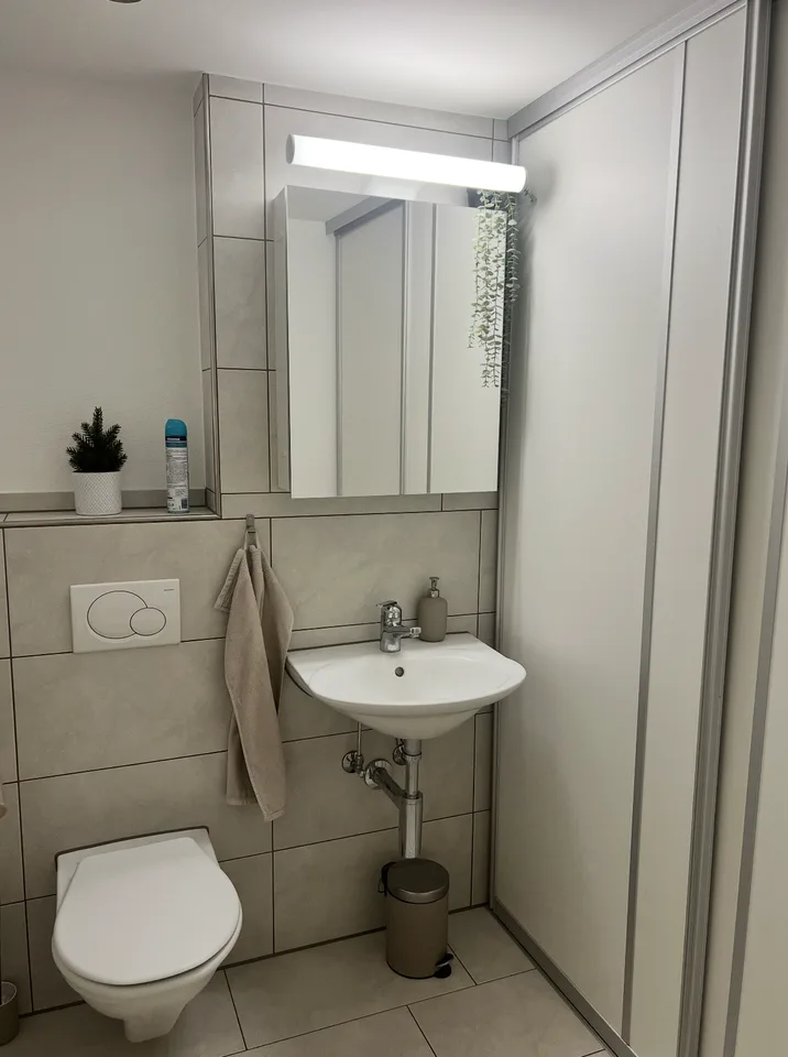 Charmante 3½-Zimmer-Wohnung im Herzen der Altstadt von Mellingen
