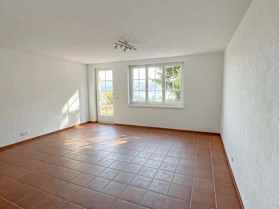 Helle 2.5-Zimmer-Wohnung mit Seesicht in Hitzkirch