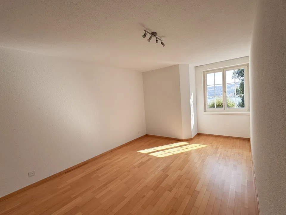 Helle 2.5-Zimmer-Wohnung mit Seesicht in Hitzkirch