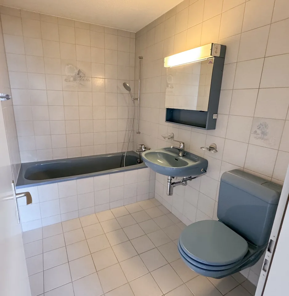 Helle 2.5-Zimmer-Wohnung mit Seesicht in Hitzkirch