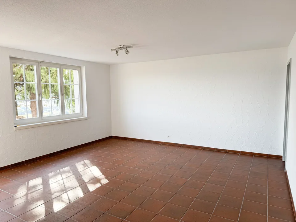 Helle 2.5-Zimmer-Wohnung mit Seesicht in Hitzkirch