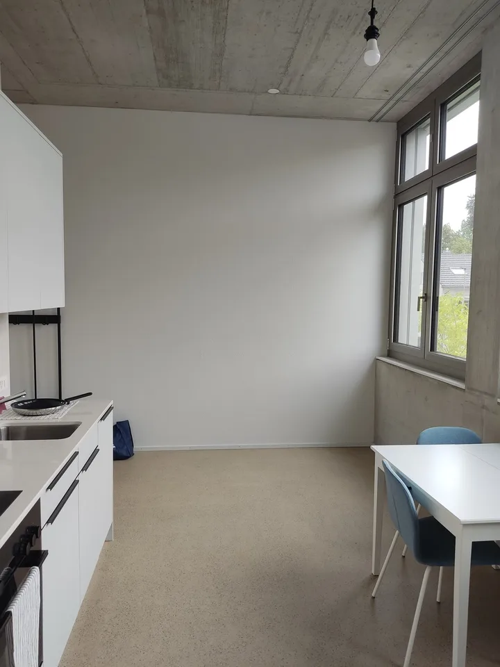 1 1/2 Rooms Apartment
