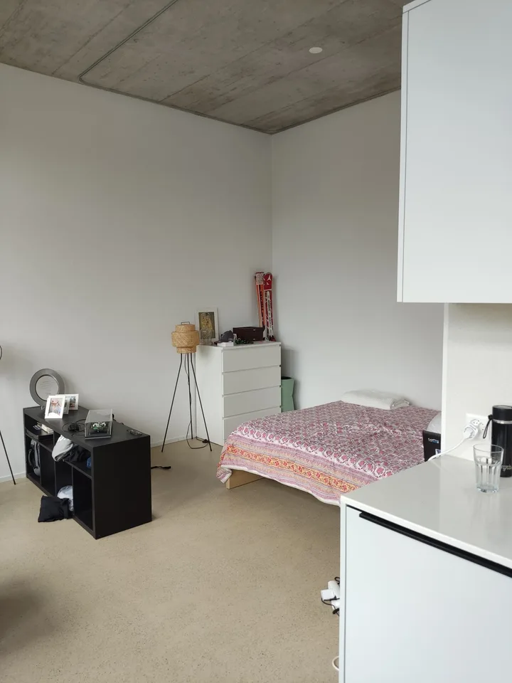 1 1/2 Rooms Apartment