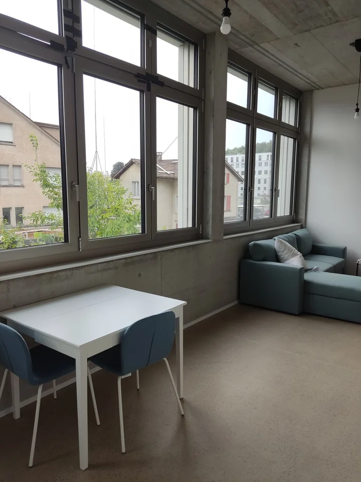 1 1/2 Rooms Apartment
