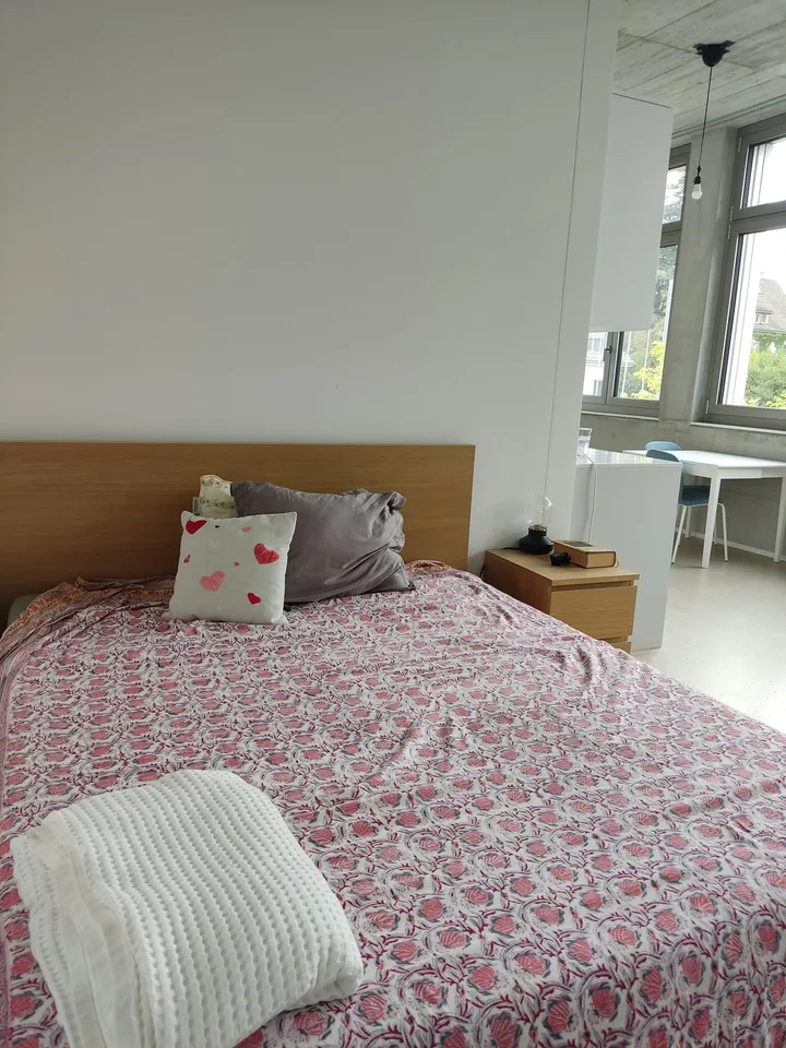 1 1/2 Rooms Apartment
