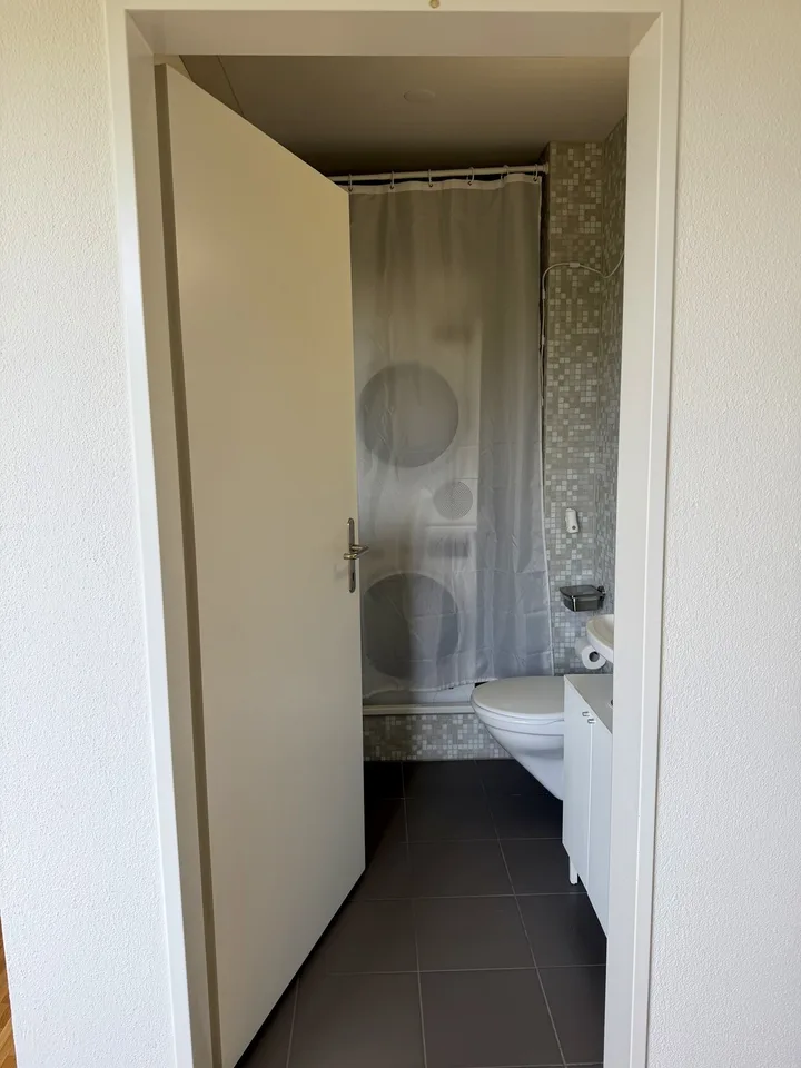 Helle 3.5-Zimmer-Wohnung, ca. 95 m² – 3 Min. zum Bahnhof Schlieren