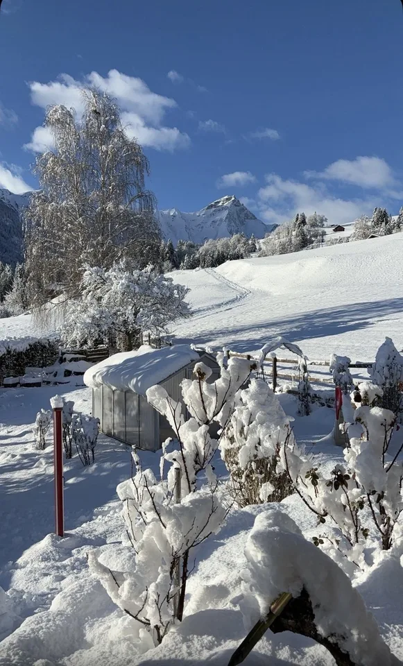 Wohnen mit Weitblick auf den Beverin