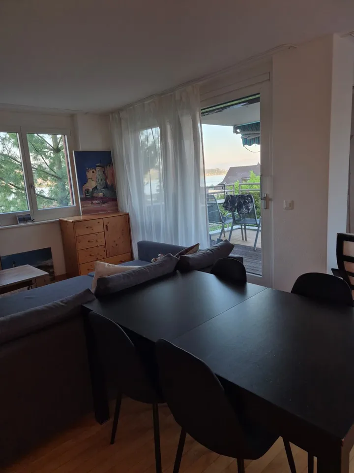 2.5 Zi mit Seesicht zur Untermiete (1 Jahr)