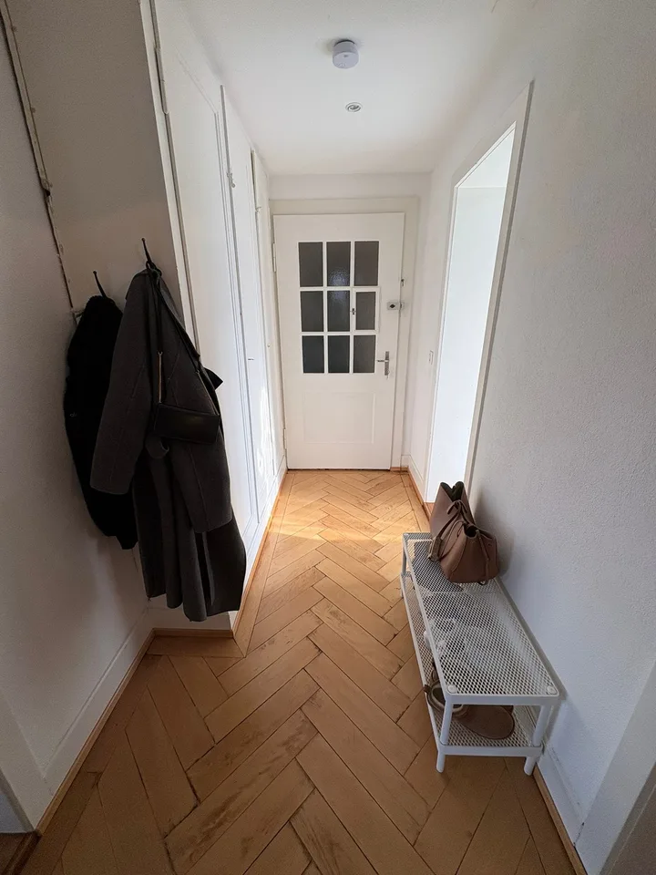 2 Bedroom in Wollishofen