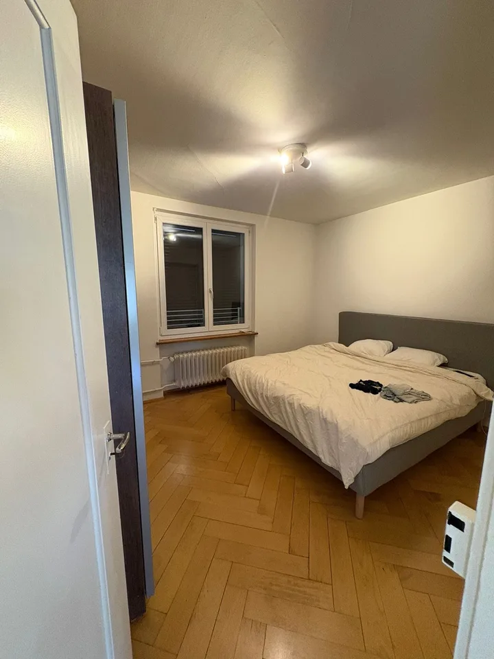 2 Bedroom in Wollishofen