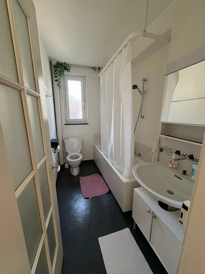 2 Bedroom in Wollishofen