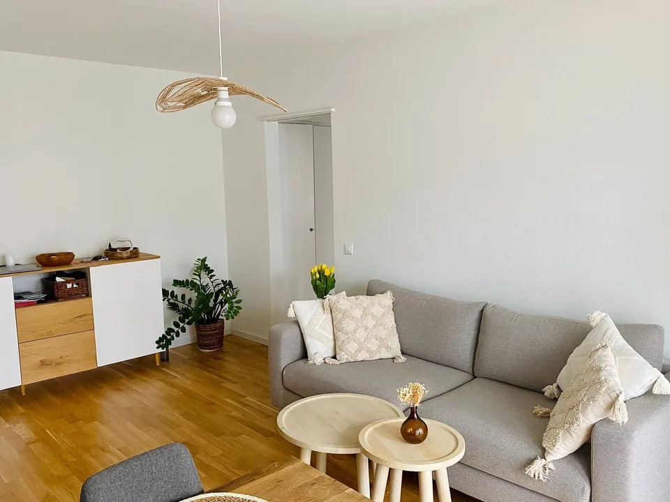 Cosy 2 Rooms Appartment Oerlikon (short time rental)