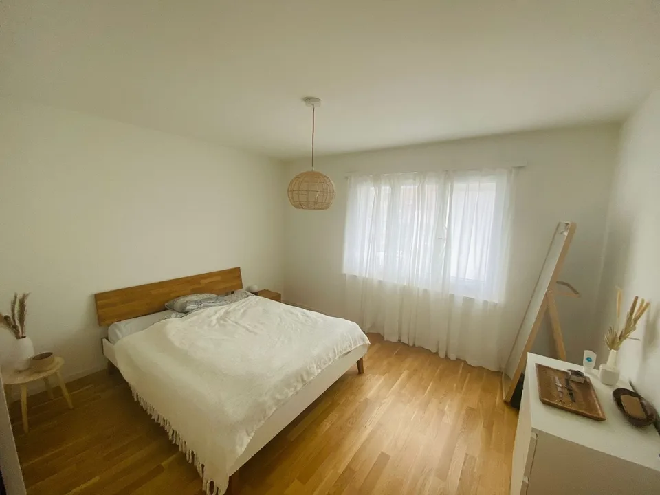 Cosy 2 Rooms Appartment Oerlikon (short time rental)