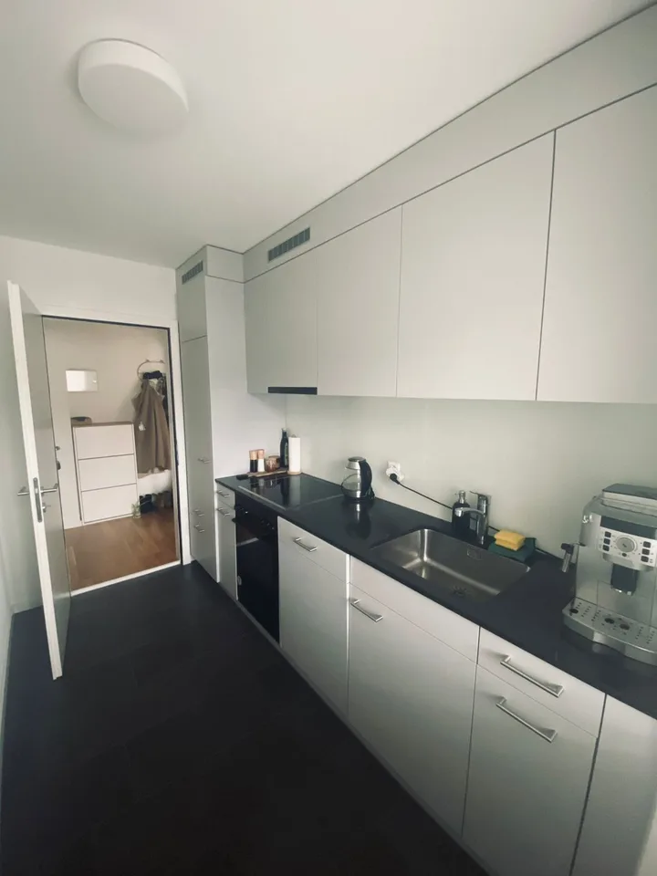 Cosy 2 Rooms Appartment Oerlikon (short time rental)