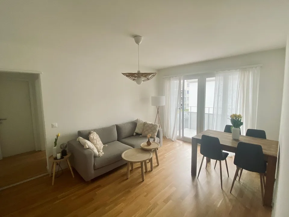 Cosy 2 Rooms Appartment Oerlikon (short time rental)
