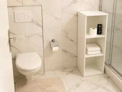 🌟Fully Furnished Studio Apartment Steinstrasse 35 8003 Zurich Ground Floor Right Side-S4