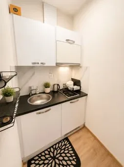 🌟Fully Furnished Studio Apartment Steinstrasse 35 8003 Zurich Ground Floor Right Side-S4