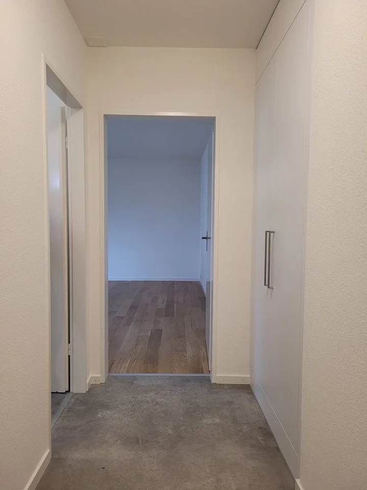 Sehr schöne und renovierte 1-Zimmerwohnung im Kreis 3