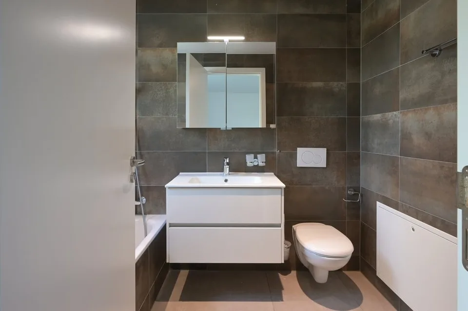 3.5 Zimmer-Wohnung in Hettenschwil