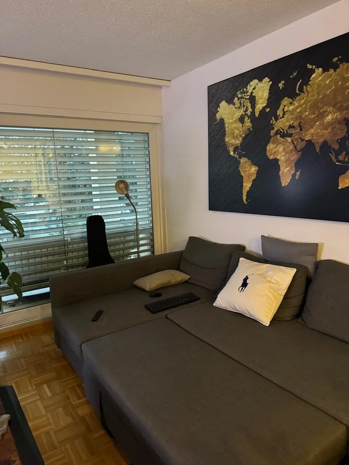 Room in spacious & modern shared flat - Pully