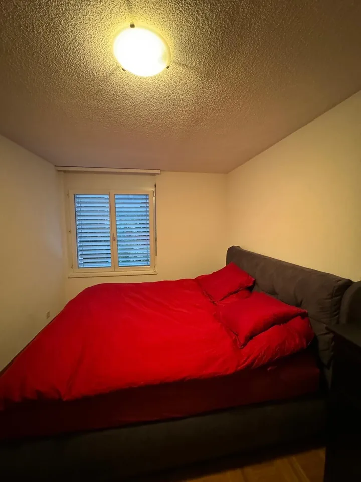 Room in spacious & modern shared flat - Pully
