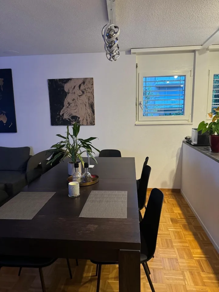 Room in spacious & modern shared flat - Pully
